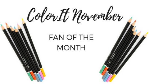 ColorIt November Fan of the Month