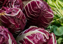 Radicchio and Blood Orange Salad