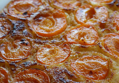 Blenheim Apricot & Olive Oil Cake