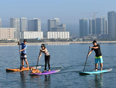 Stand Up Paddle Boards in calm water
