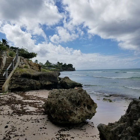 Paddle Boarding in Barbados