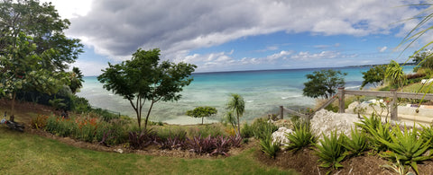 Freights Bay, Barbados