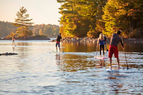 Stand up paddle boarders on a lake