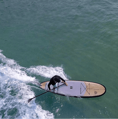 riding a stand up paddle board