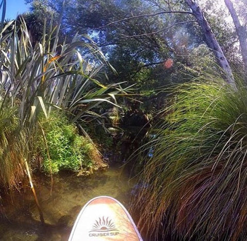 Paddle Boarding in a small creek