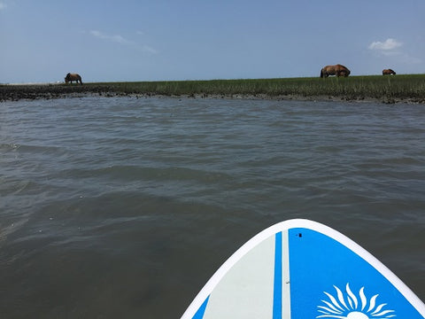 Stand up paddle boarding on a lake