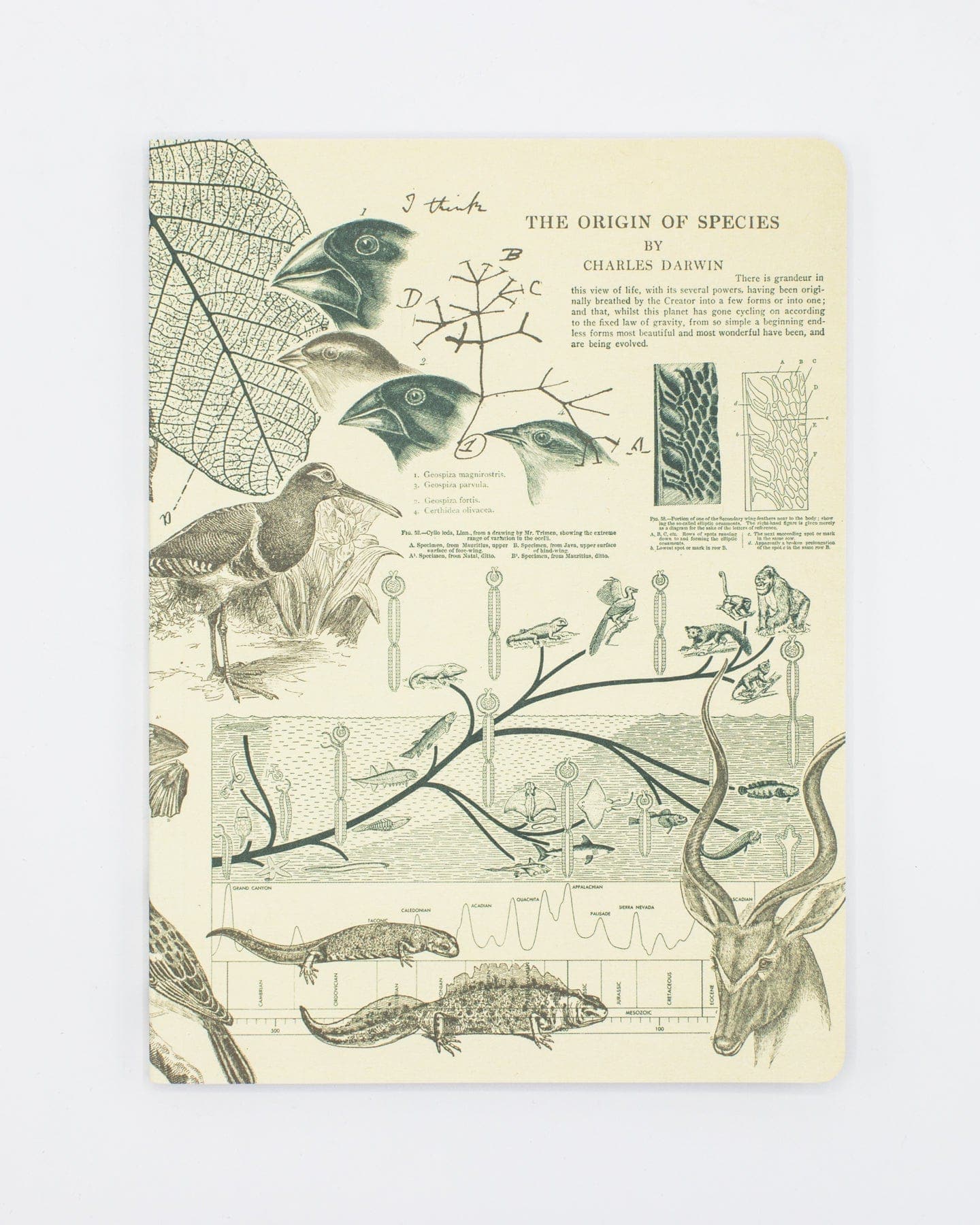Evolution Softcover Notebook Charles Darwin – Cognitive
