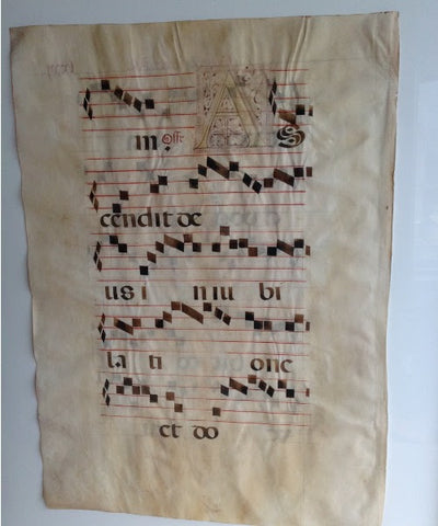 Italian Antique Illuminated Manuscripts on Parchment