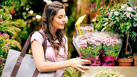 Top tips for buying flowers 