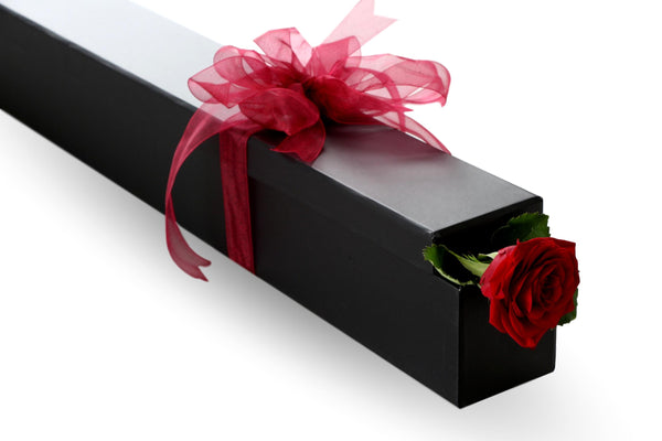 Boxed Single Red Rose