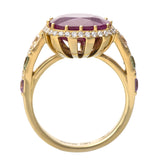 Multisapphires & Ruby Ring