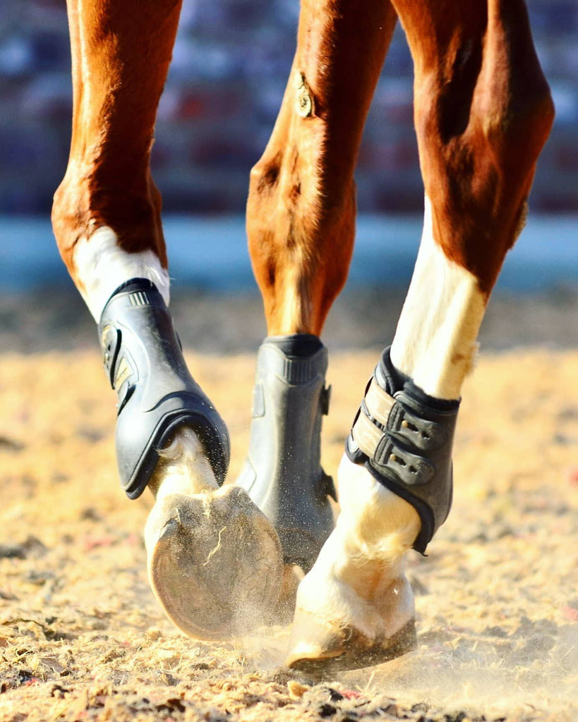 A chestnut and white barefoot horse trotting through a sand arena
