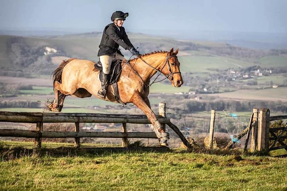 Are shoes causing your horse's abscess? 