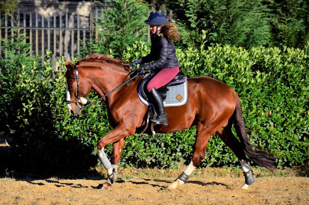 A chestnut horse trotting around a corner in a sand arena