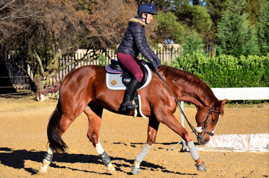 A chestnut horse wearing black Scoot Boots trotting through a sand arena