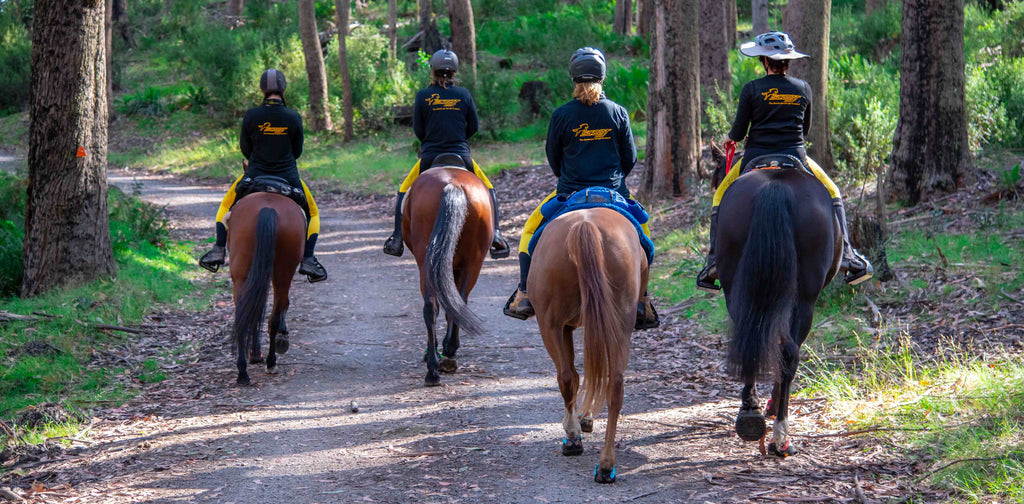 A group of women riding black and brown horses wearing Scoot Boots down a gravel trail