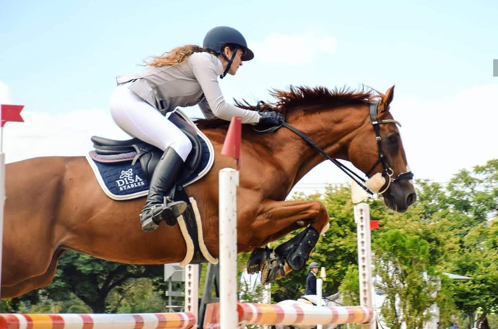 A show jumper wearing white joddies jumping 1.25m on a chestnut gelding