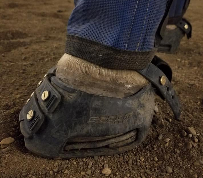 A white horse's hoof wearing a black Scoot Boot with a homemade wedge in the sole