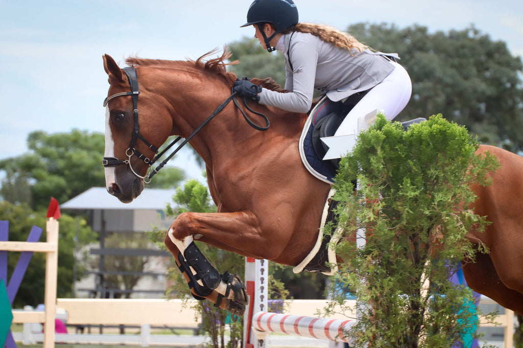 A woman jumping her chestnut horse over 1.25 metre jumps in a show jumping competition