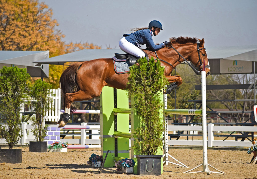 A woman wearing white joddies and a chestnut gelding jumping 1.25 metres in a showjumping competition