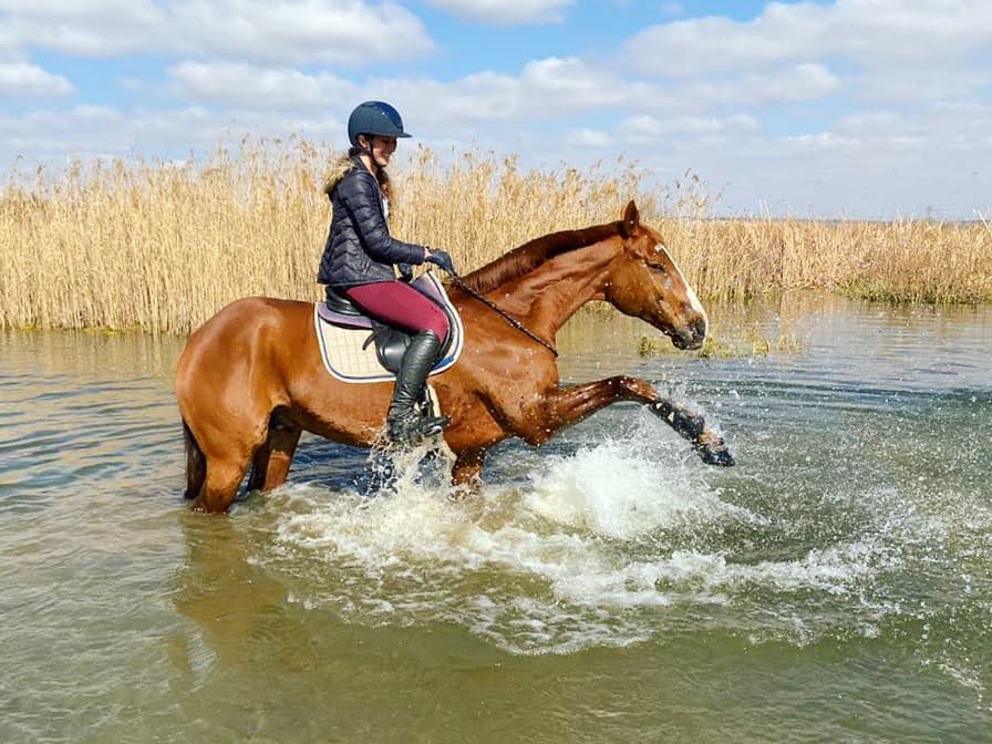 A young woman riding a chestnut gelding through a pond of clear water
