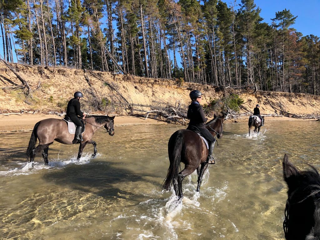 Black and brown horses riding through the water at the beach on a sunny day in Tasmania