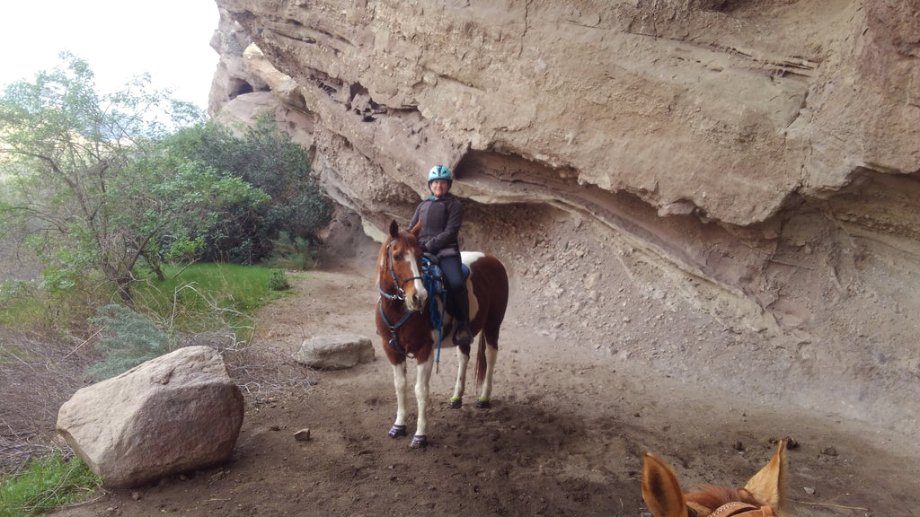 A paint horse wearing Scoot Boots being ridden on a trail ride 