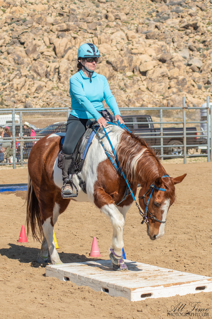 A paint horse wearing purple Scoot Boots competing in a horse riding competition