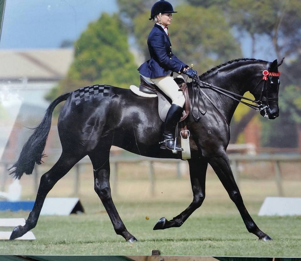 A black horse being ridden in a dressage competition