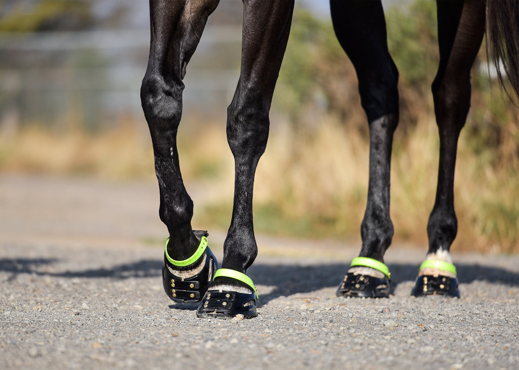 A black horse wearing green and black Scoot Boots on gravel