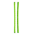 Creature Serrated Rails - Green - Skates USA