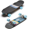 Loaded Bolsa Carver CX Complete Longboard - Grey - Skates USA