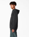 Dickies Franky Villani Drunkula Pullover Hoodie - Black - Skates USA