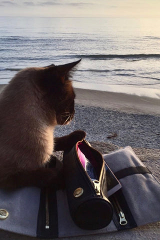 Cat next to Rogue Paq Ritual Case unrolled, on beach
