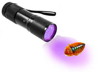 Bed Bug Bug Detection Light | Find Bugs Fast!