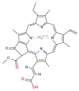 Chlorophyll-c