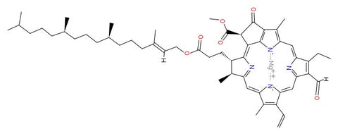 Chlorophyll-b