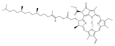 Chlorophyll-a