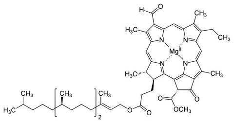 Chlorophyll-d