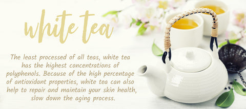 Find a selections of Premium White Tea I Tea Desire