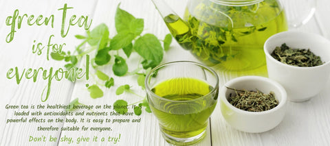 Find a selections of Premium Green Tea I Tea Desire