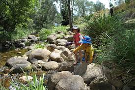 children hunting in stream whilst camping