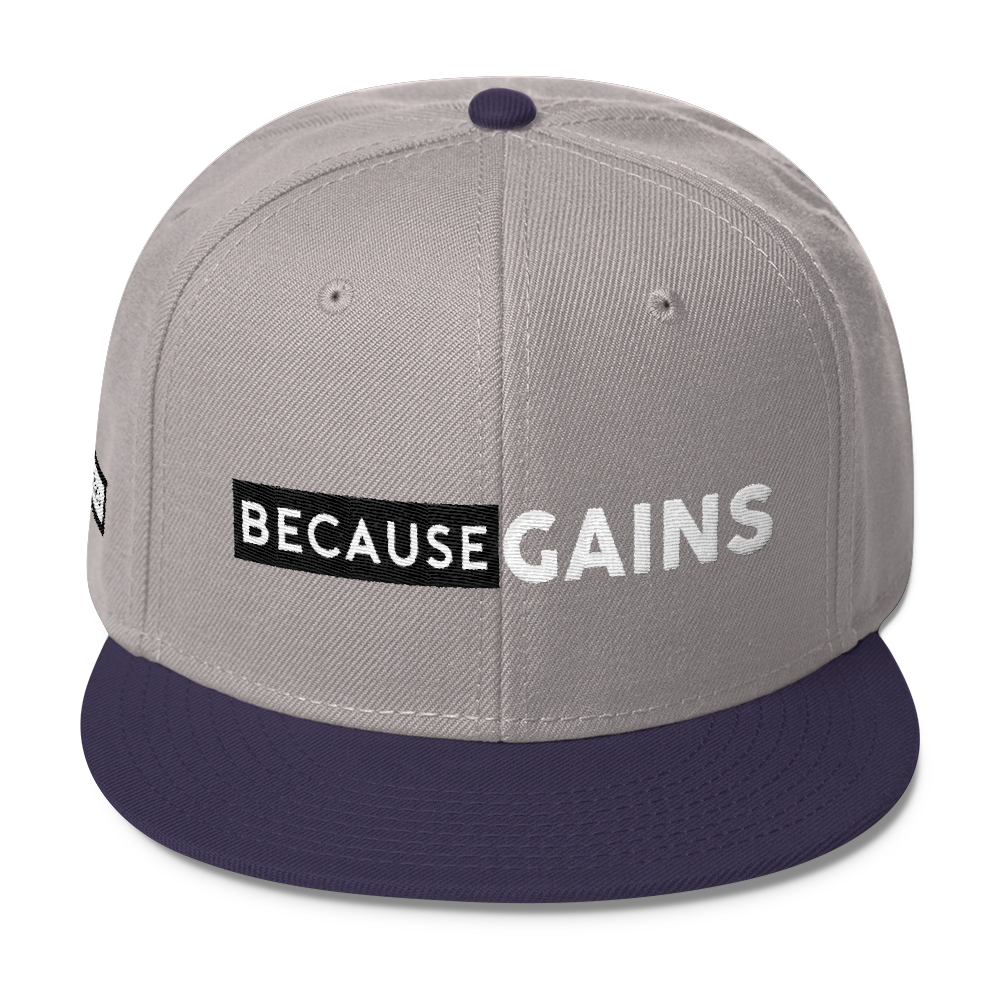 BecauseGains SnapBack Hat