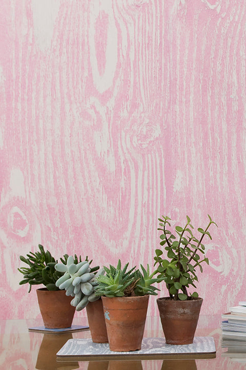 Ella Doran Wood Grain Pink wallpaper