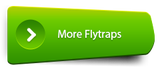 All Flytraps - Shop by Category - Cultivo Carnivores