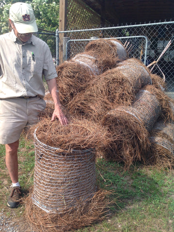 Longleaf Pine Straw