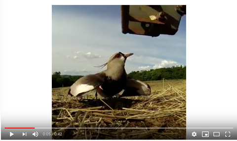 Rebecca Scott Jewelry | Mother's Day | Bird Tractor