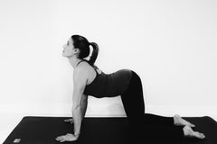 Work- Pogamat Blog- Yoga for Back Pain-11-cow pose