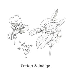 Cotton & Indigo
