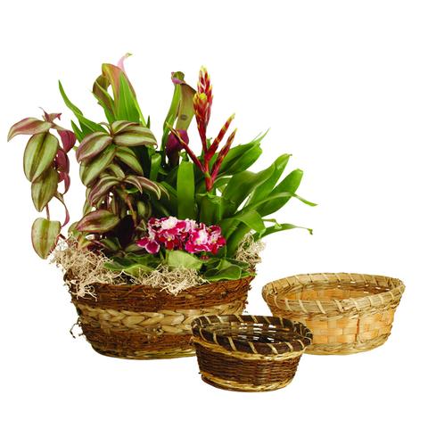 Bulk Baskets for Florists